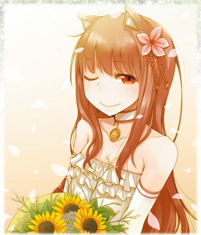 Spice & Wolf