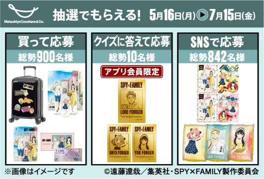 SPY X FAMILY