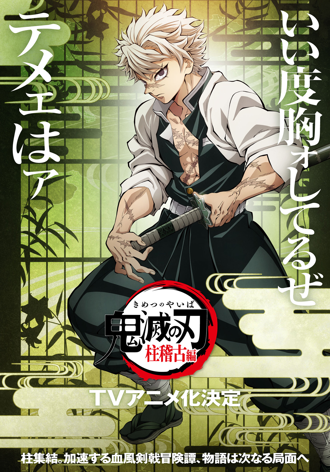 Kimetsu no Yaiba: Hashira Training Arc