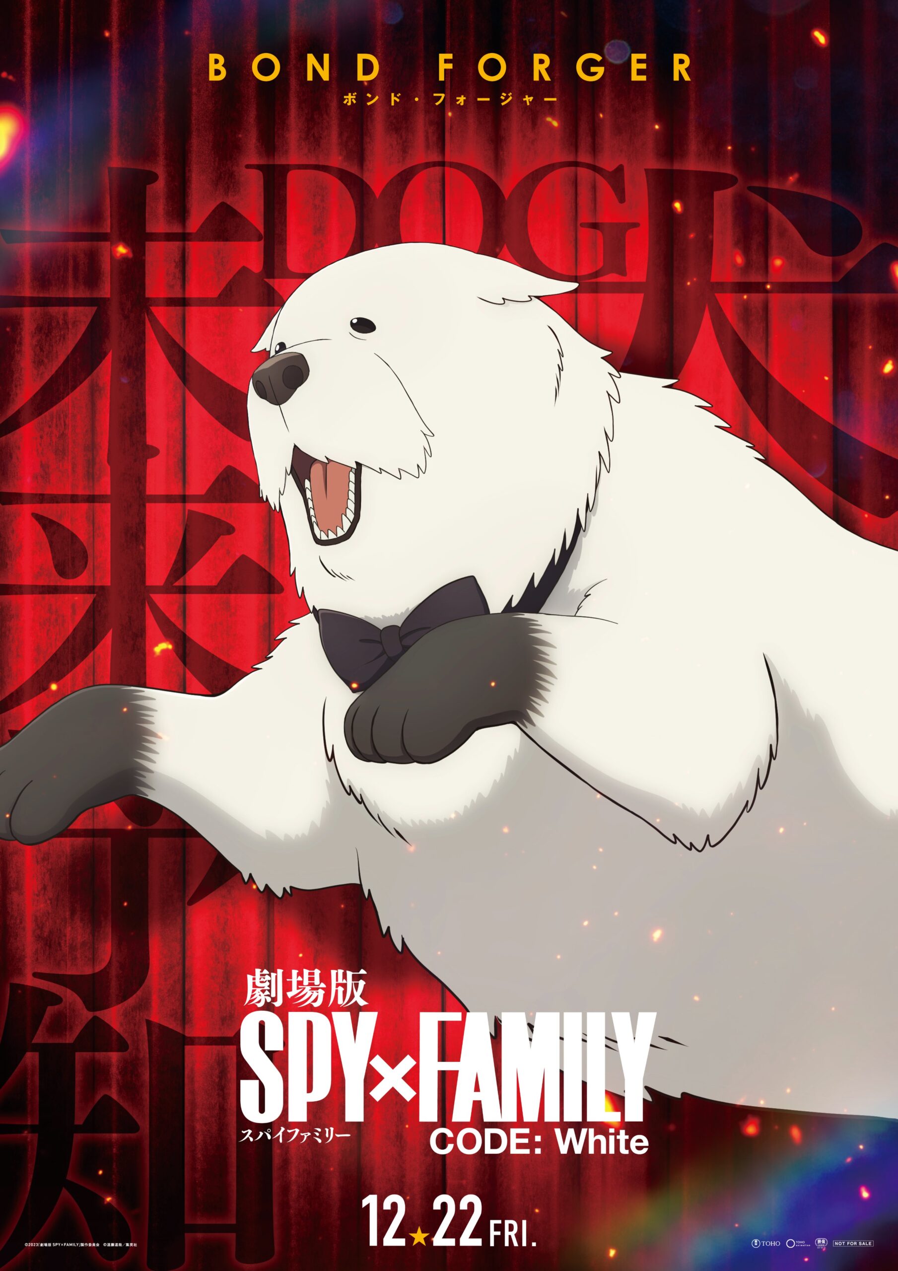 SPY x FAMILY CODE: White