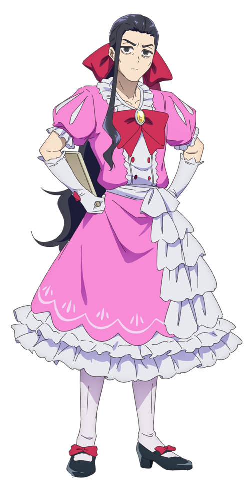 Kabushiki Gaisha Magilumiere