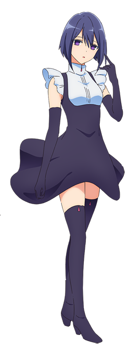 Kabushiki Gaisha Magilumiere