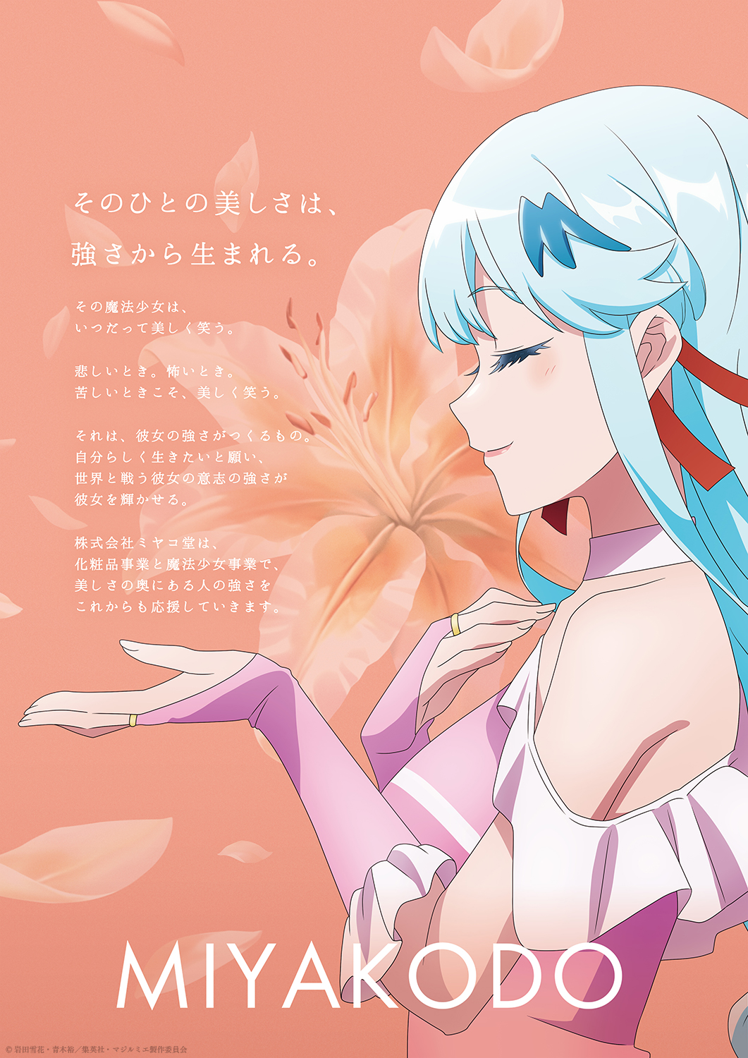 Kabushiki Gaisha Magilumiere