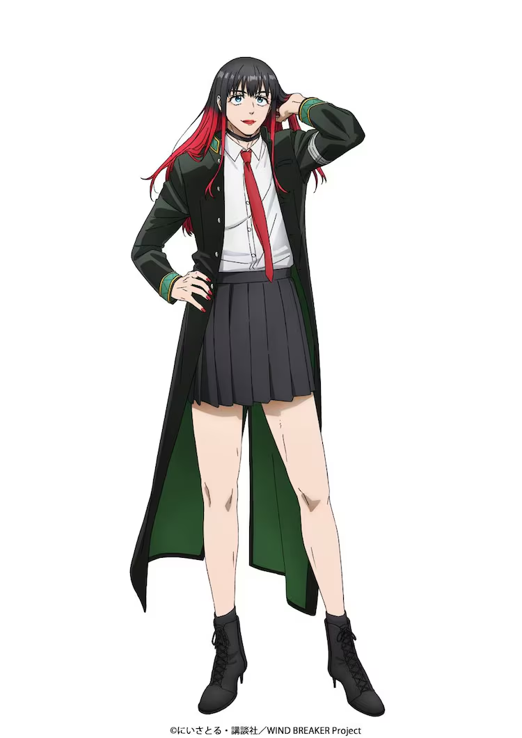 Wind Breaker