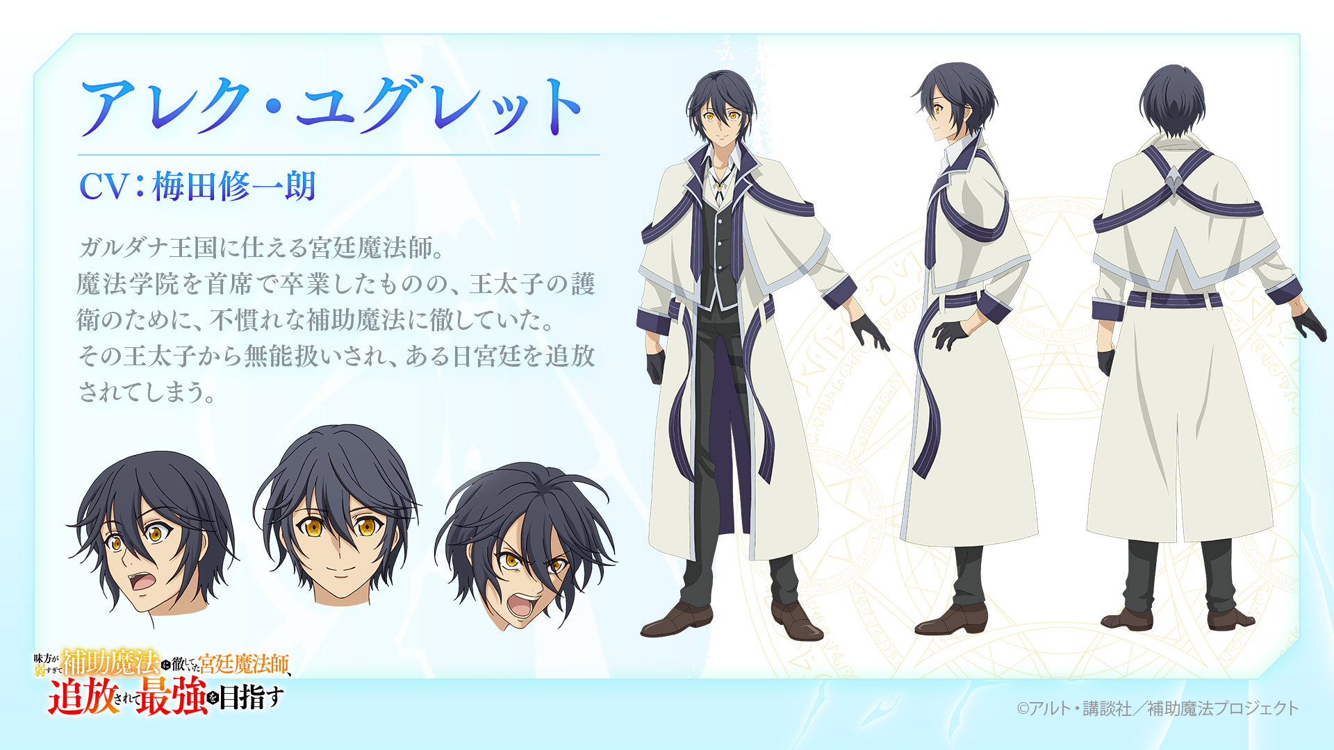 Mikata ga Yowasugite Hojo Mahō ni Tesshiteita Kyūtei Mahōshi